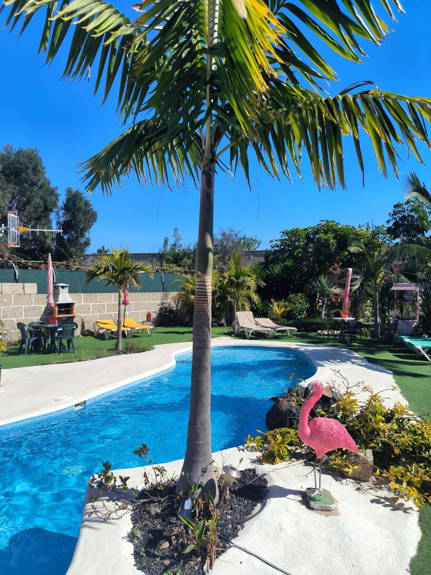 Villa Daita 2 Villa Daita 3 Гранадилла-де-Абона Экстерьер фото